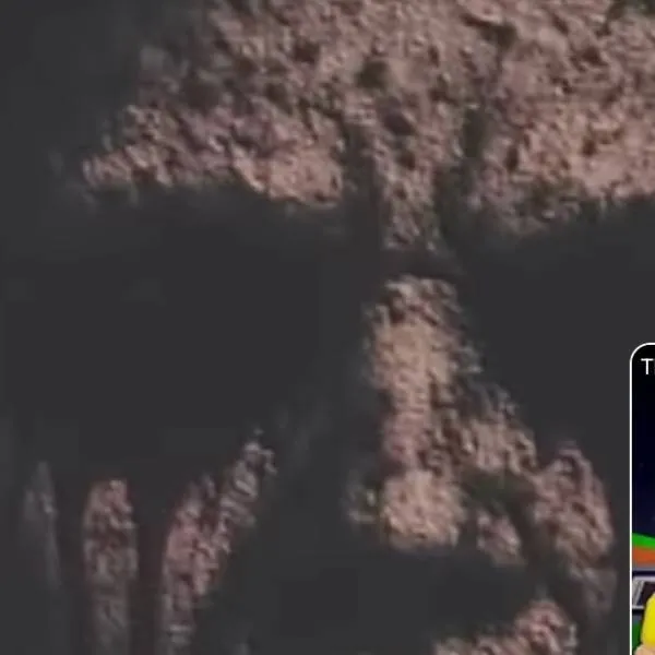 chat with ai character: evil sammy