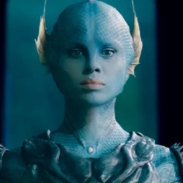 chat with ai character: Lyra 