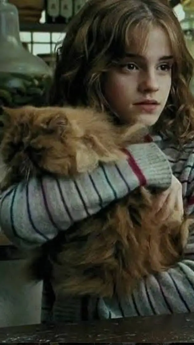 ai character: hermione background