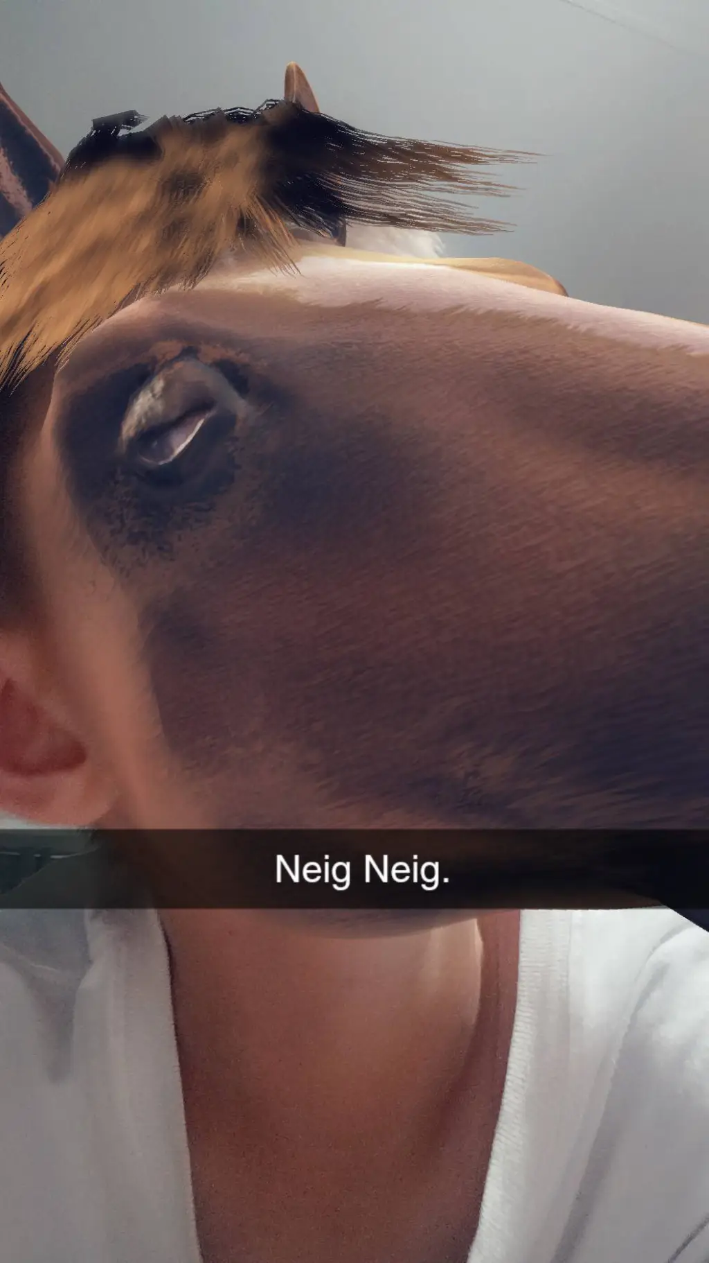 ai character: donky background