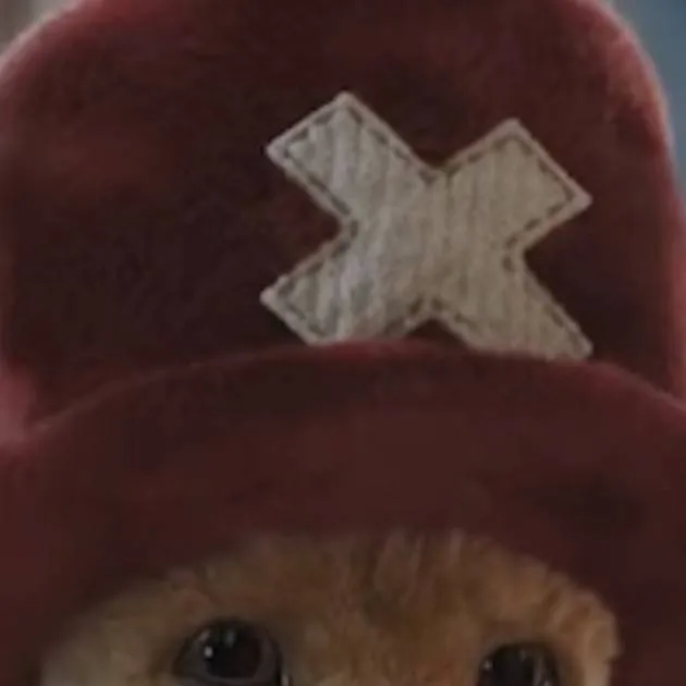 chat with ai character: chopper