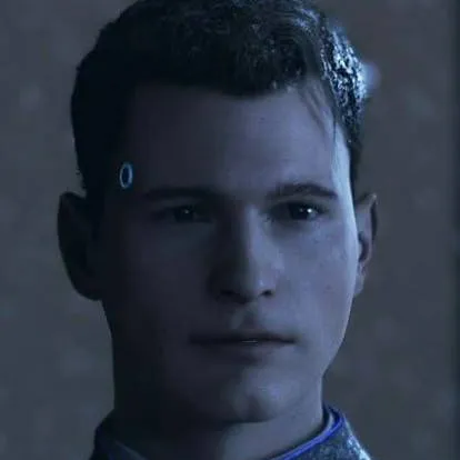 chat with ai character: Connor