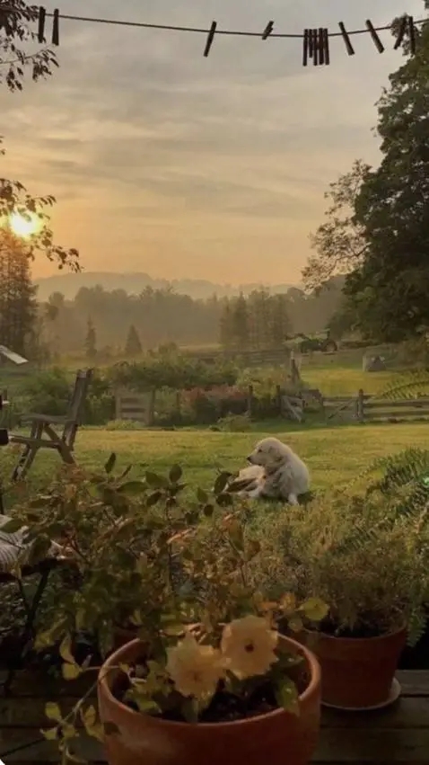 ai character: ~Spirit~ background