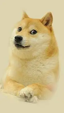 ai character: doge background