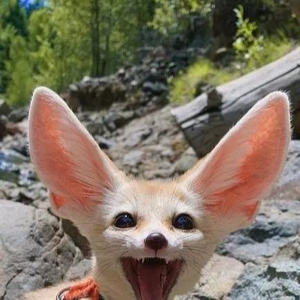 chat with ai character: Ted