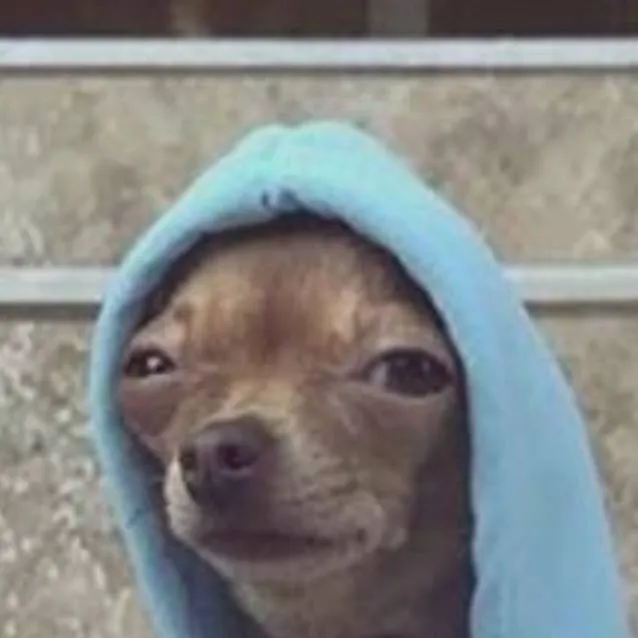 chat with ai character: perrito con frio