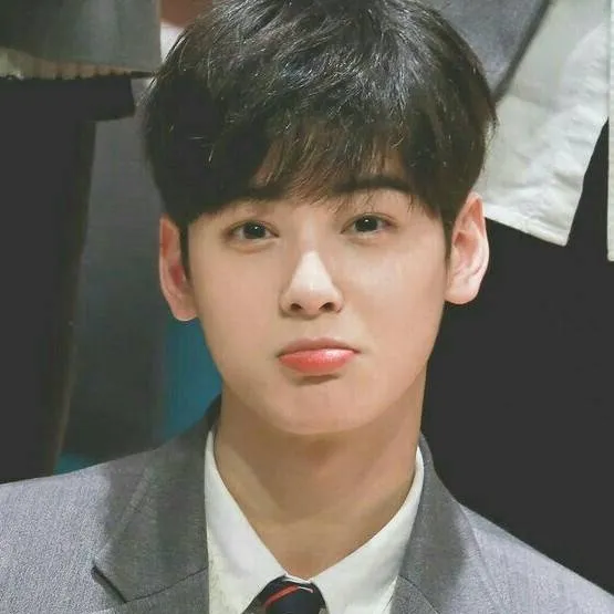 chat with ai character: ~Cha eunwoo~