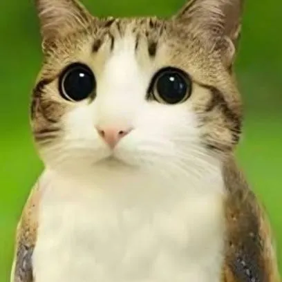 chat with ai character: creepypastas