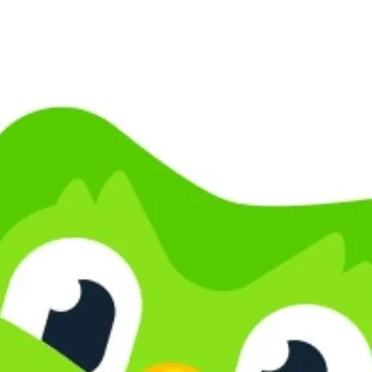 chat with ai character: Duolingo