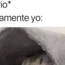 chat with ai character: El Gato de duo