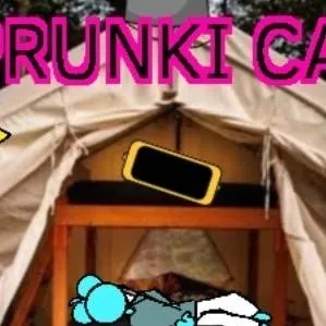chat with ai character: Sprunki night/camp