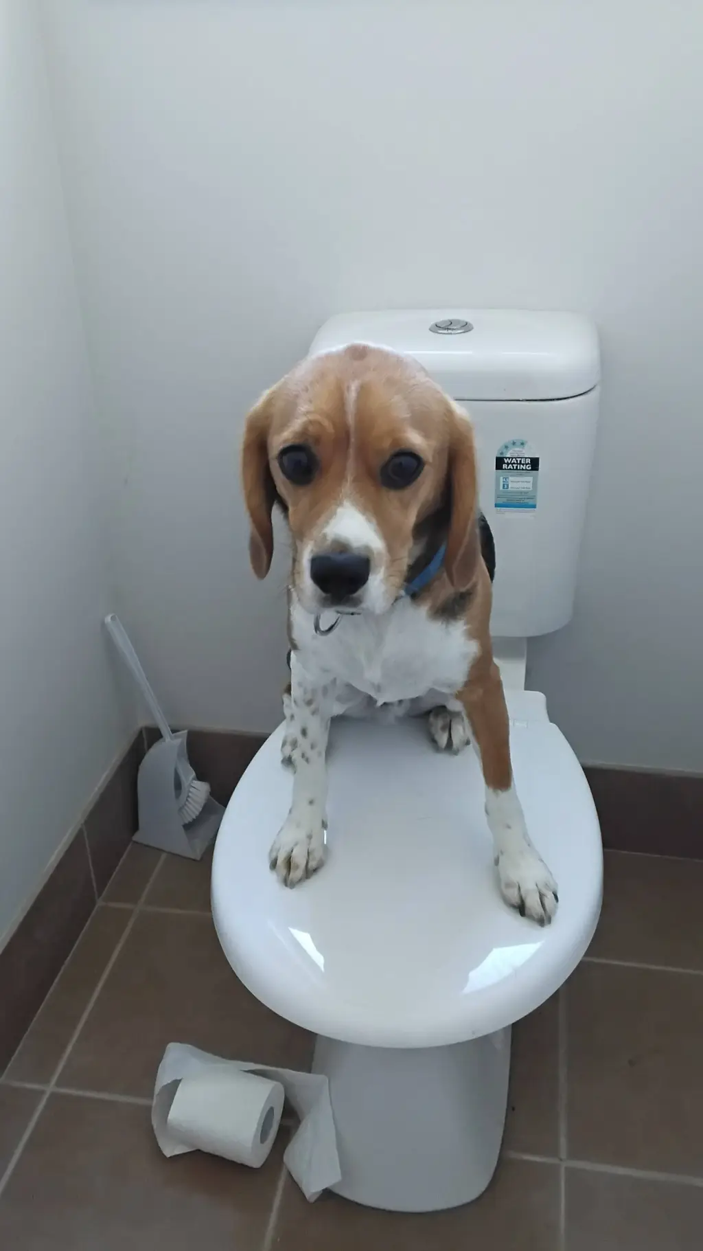 ai character: figure background