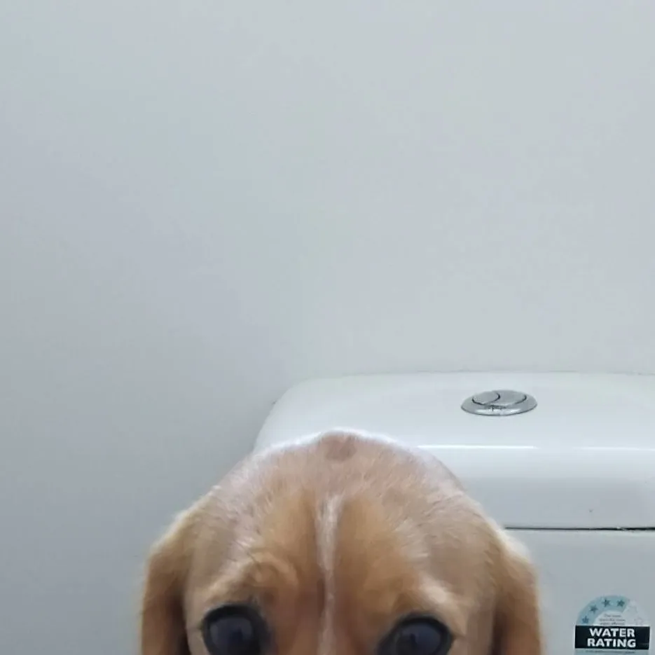 chat with ai character: figure