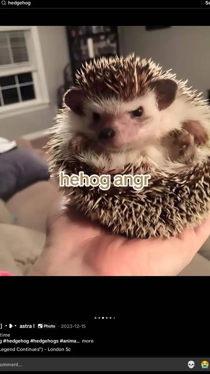 ai character: hedgehog gary background