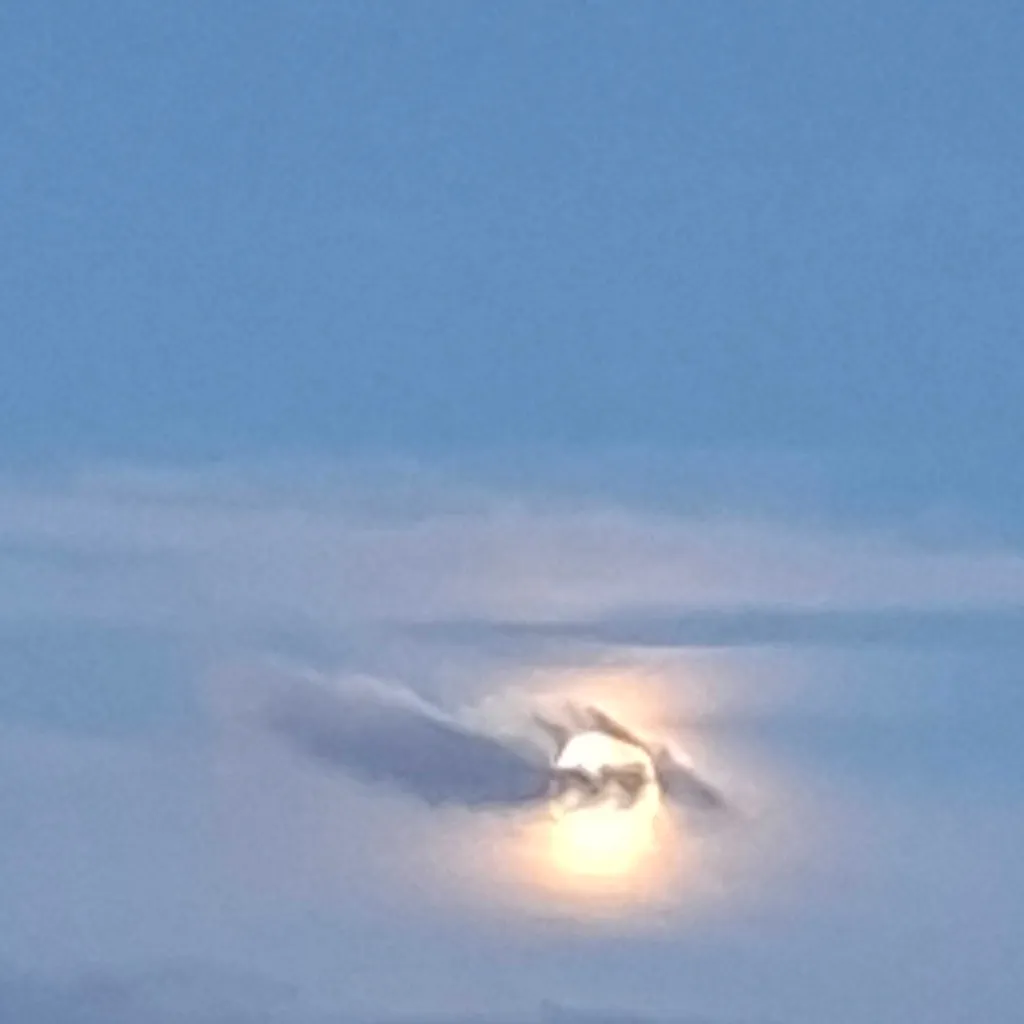 chat with ai character: Denji✨️💫😎🎣