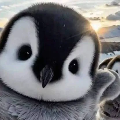 chat with ai character: Baby penguin