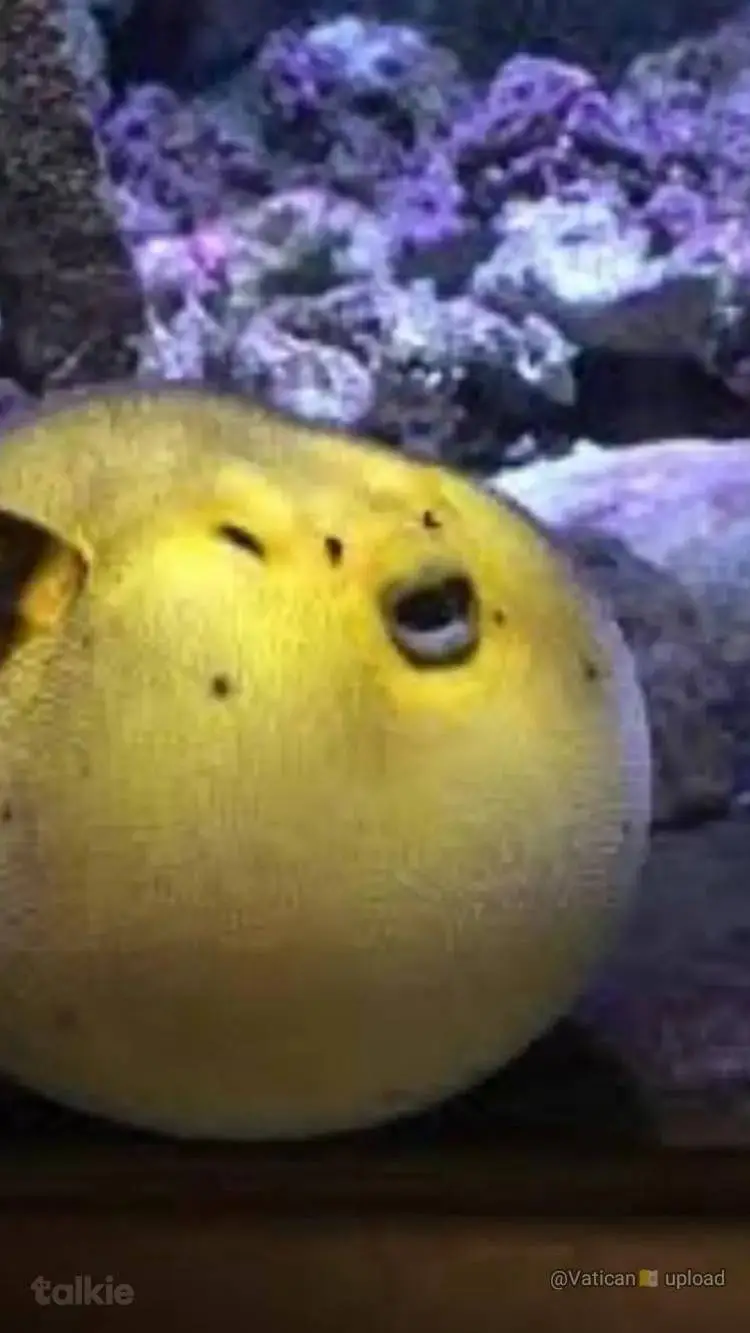 ai character: pufferfish Andrew background