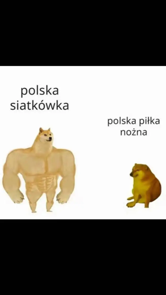 ai character: noga czy siatka? background