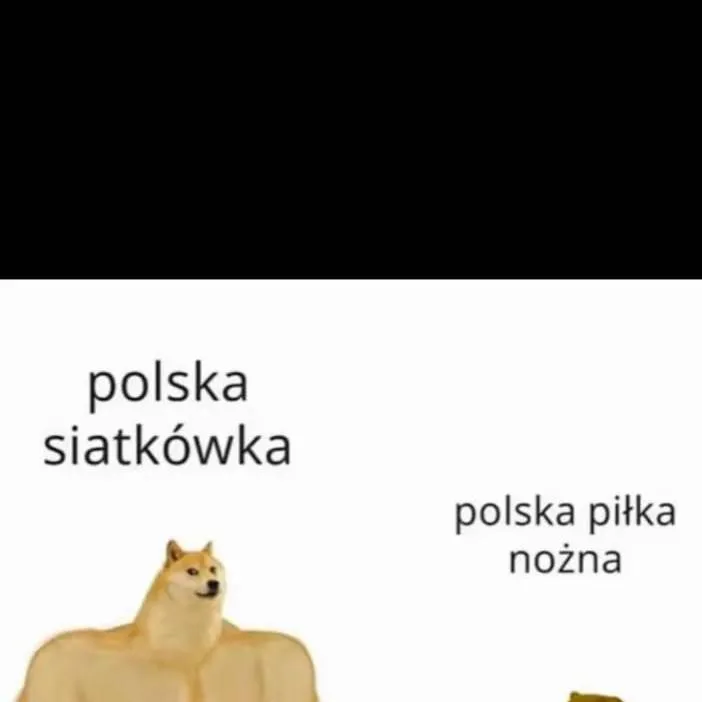 chat with ai character: noga czy siatka?