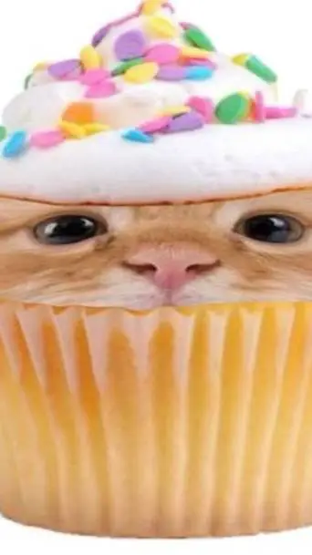 ai character: capckgato 🌟🧁 background