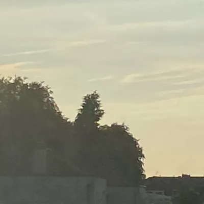 chat with ai character: The mcfive circus