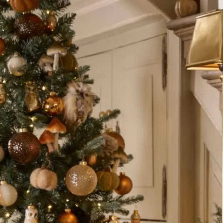 chat with ai character: Christmas Forsaken