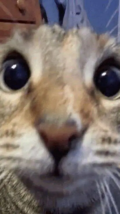 ai character: •Family Rp• background