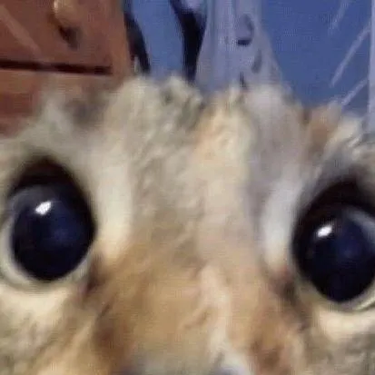 chat with ai character: •Family Rp•