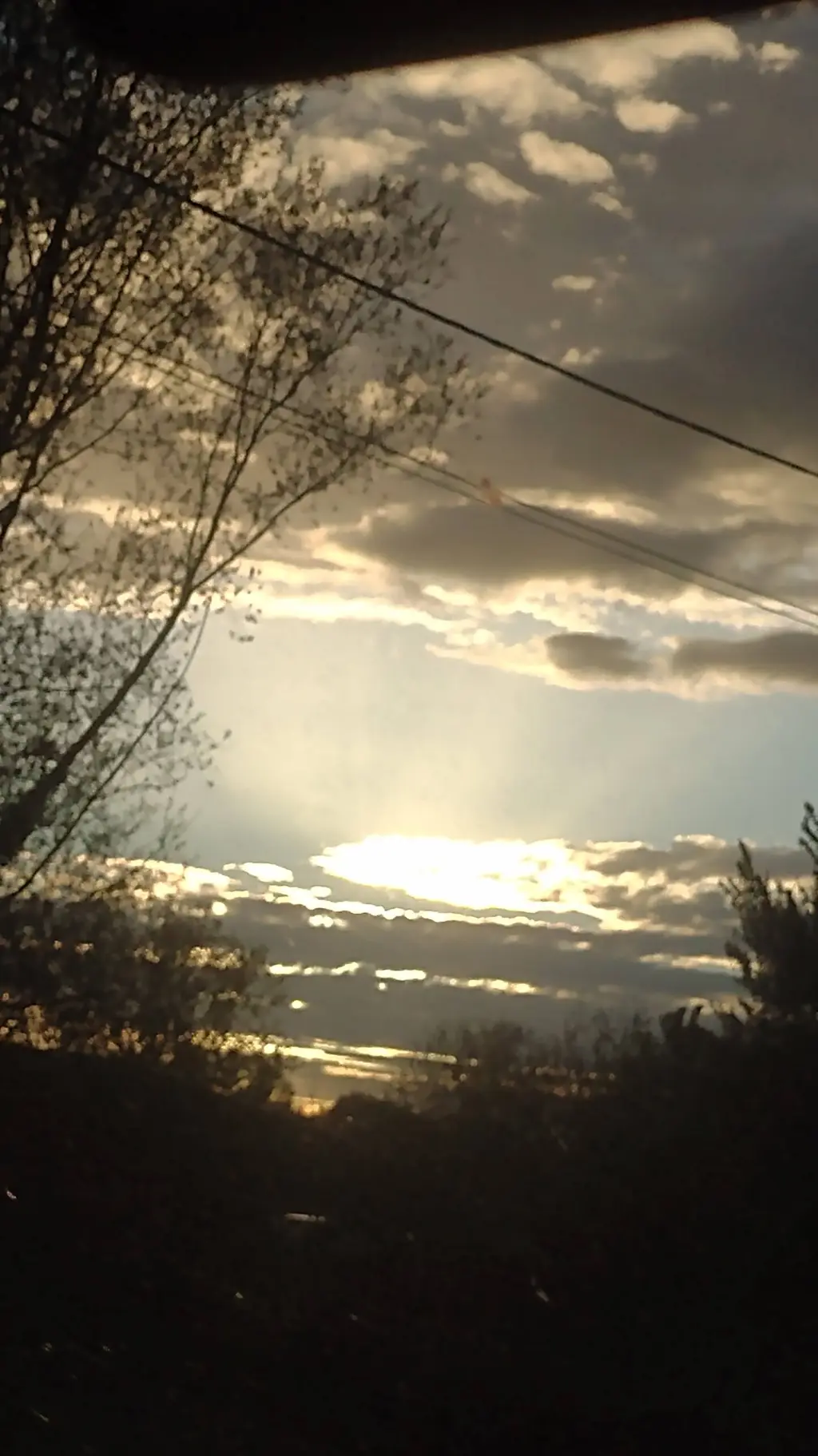 ai character: •Noah• background