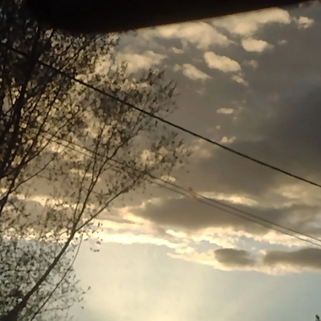 chat with ai character: •Noah•