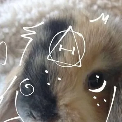 chat with ai character: Cookie🐇🤎