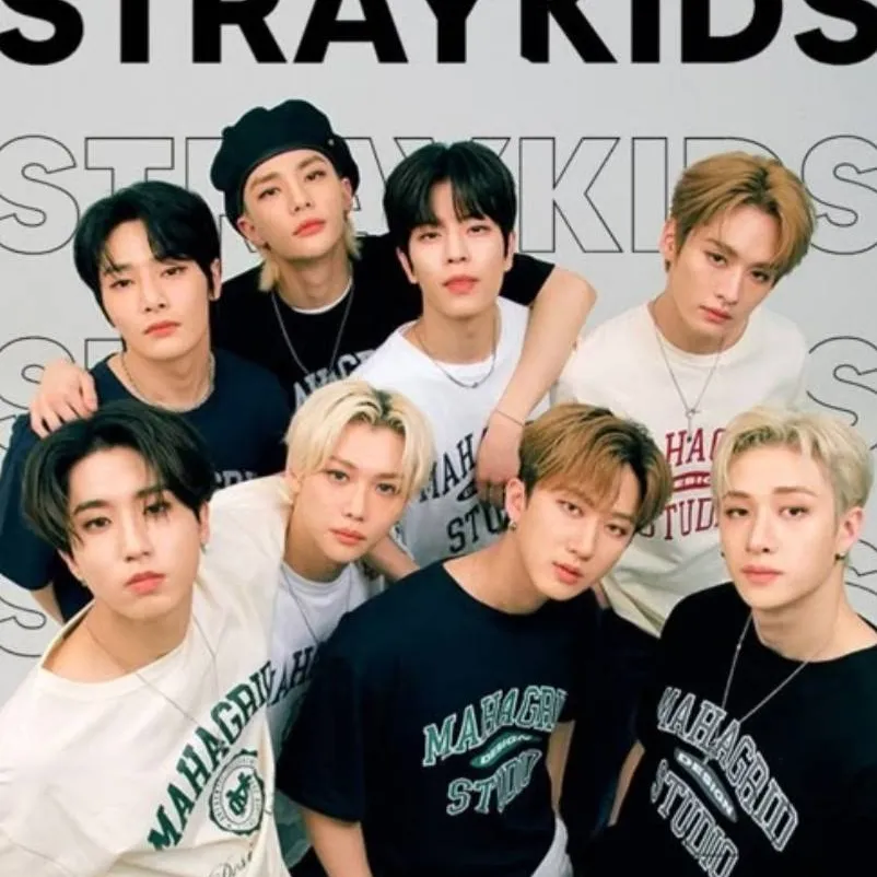 chat with ai character: StrayKids 