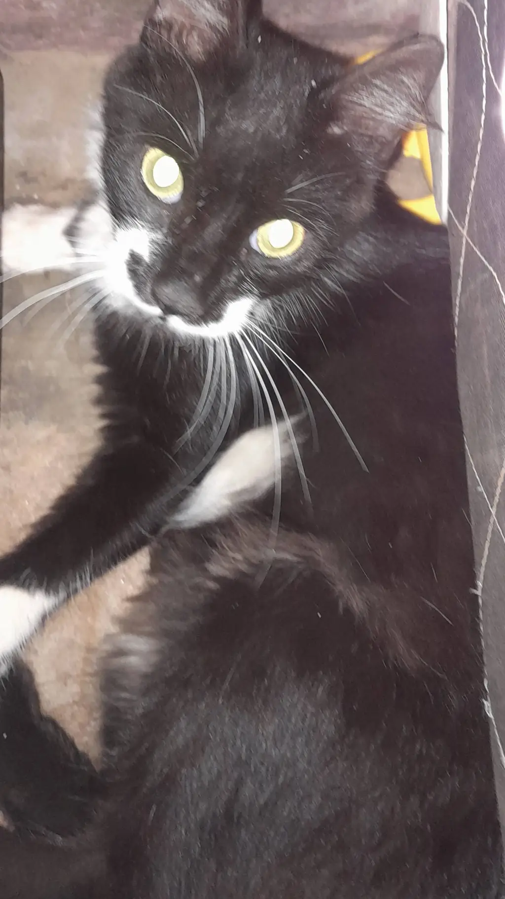 ai character: 1×1×1×1 background