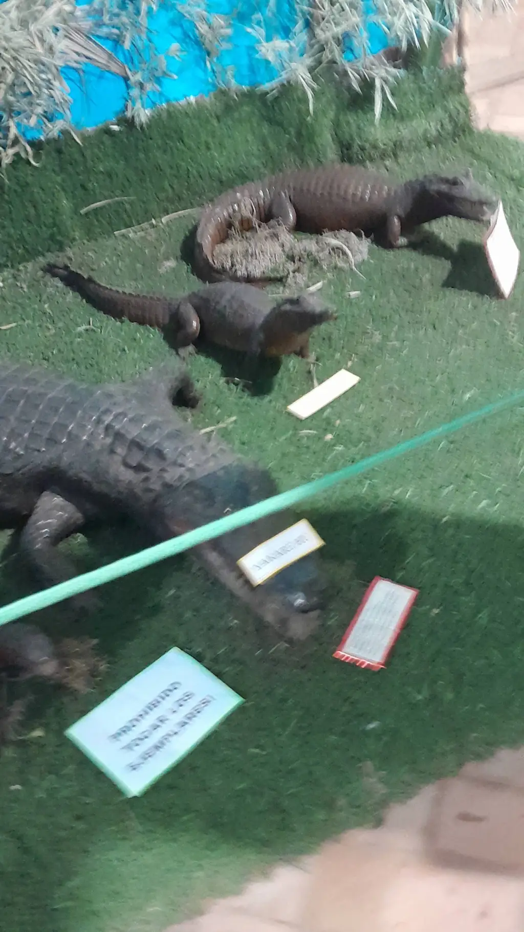 ai character: jason con tutu background