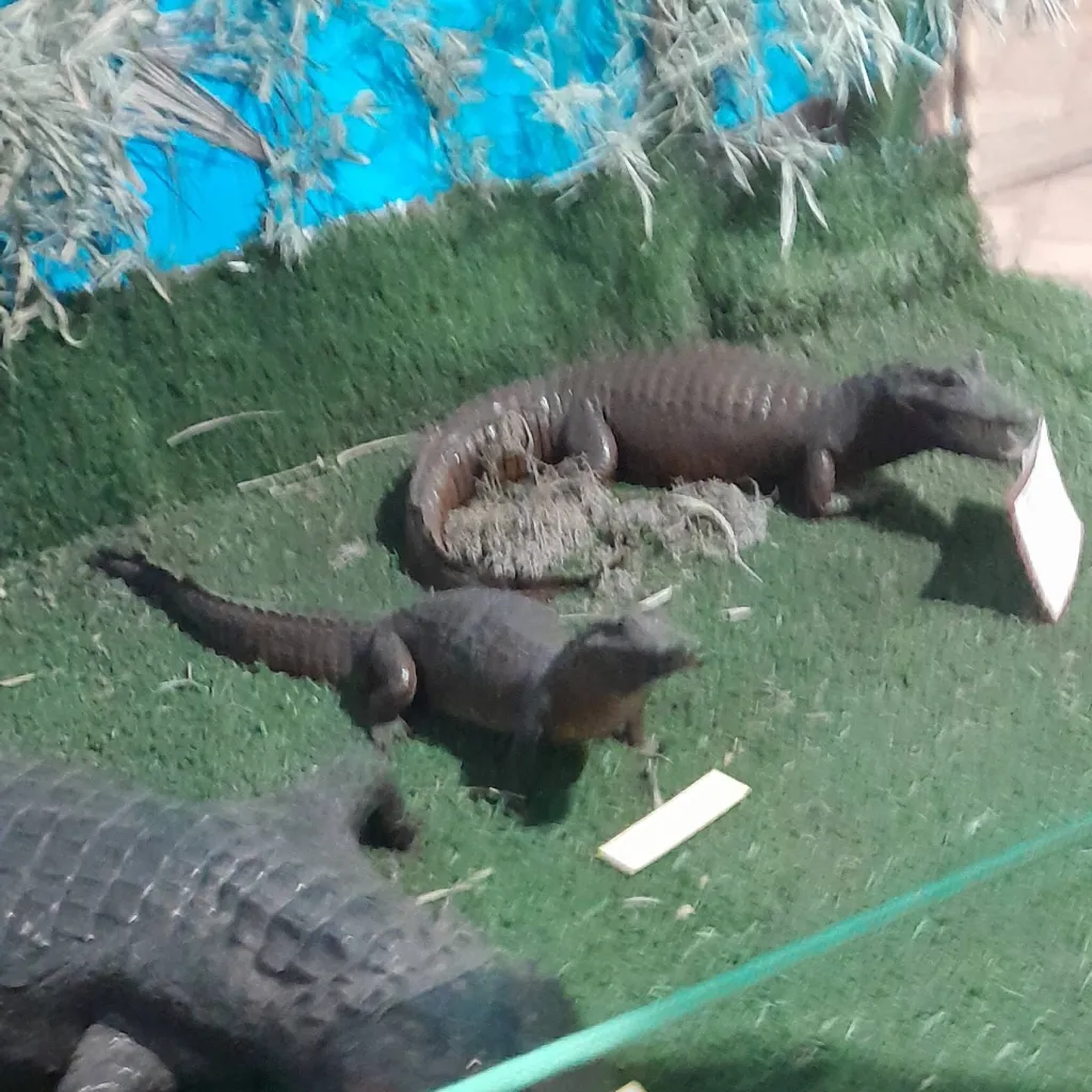 chat with ai character: jason con tutu