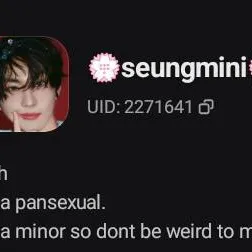 chat with ai character: seungmini★