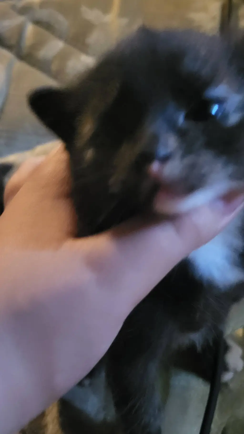 ai character: darkness  background