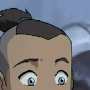 chat with ai character: sokka