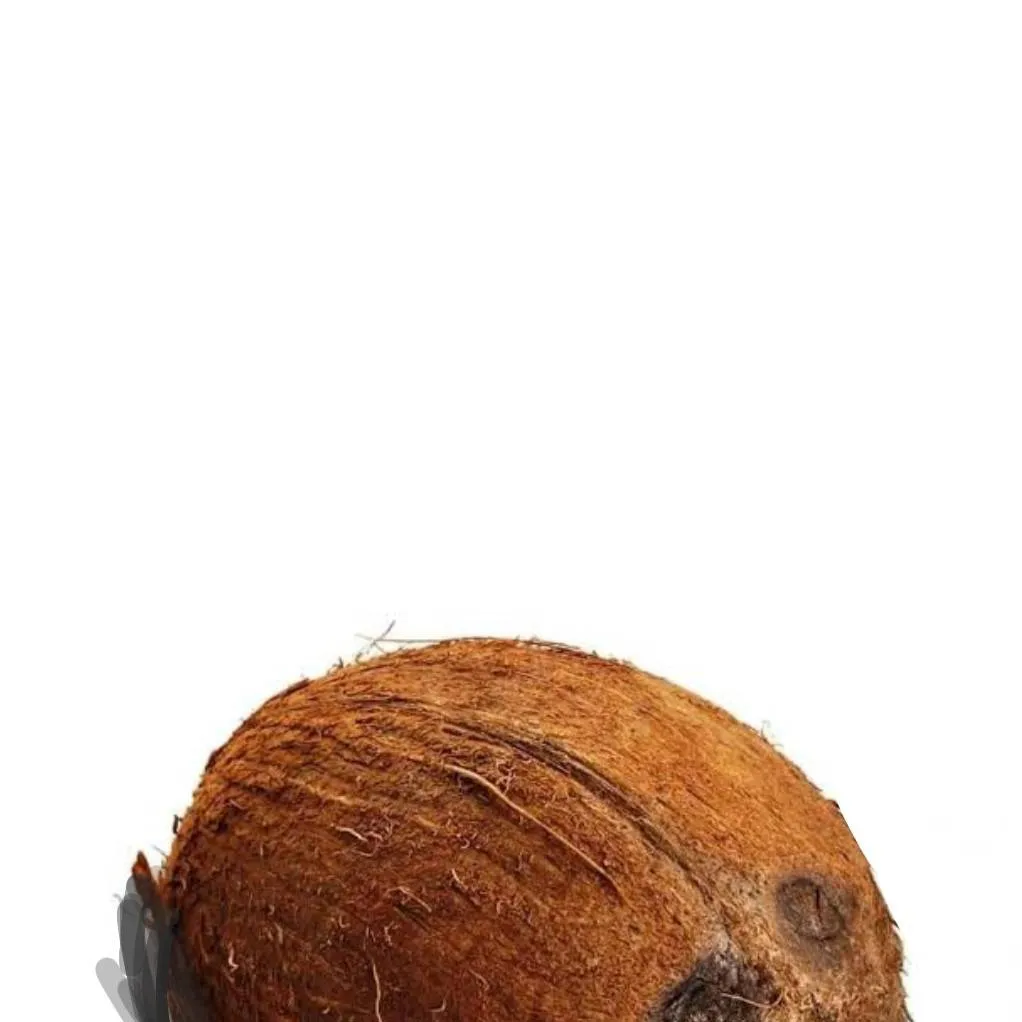 chat with ai character: coconut.🥥🌴★