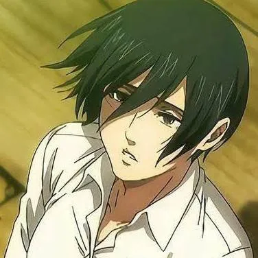 chat with ai character: Mikasa Ackerman 