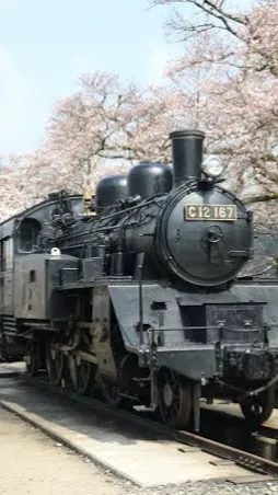 ai character: Evan the c12 167 background