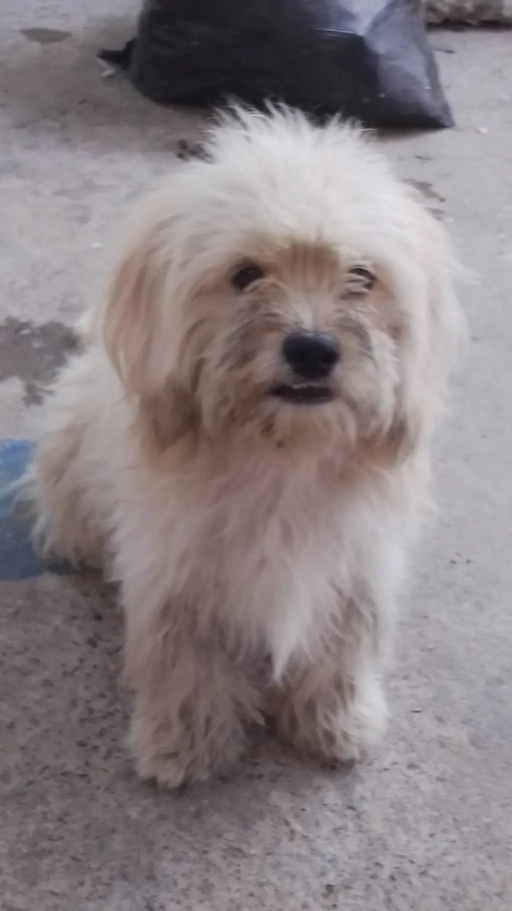 ai character: Wally★ background