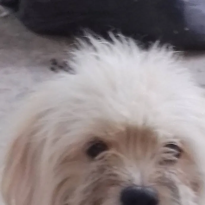 chat with ai character: Wally★