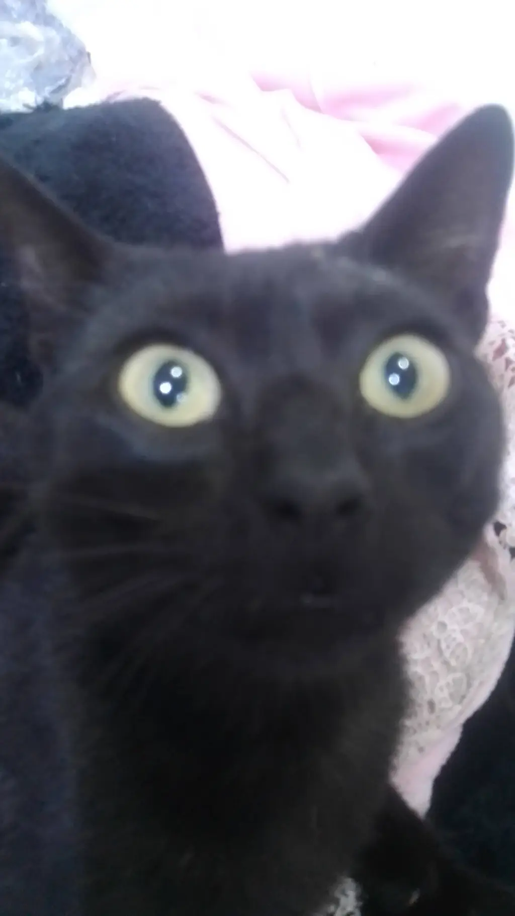 ai character: michael★† background