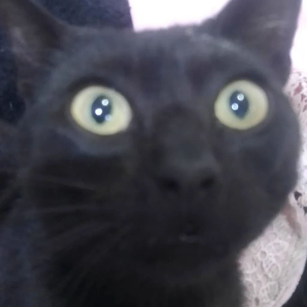 chat with ai character: michael★†