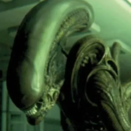 chat with ai character: xenomorph