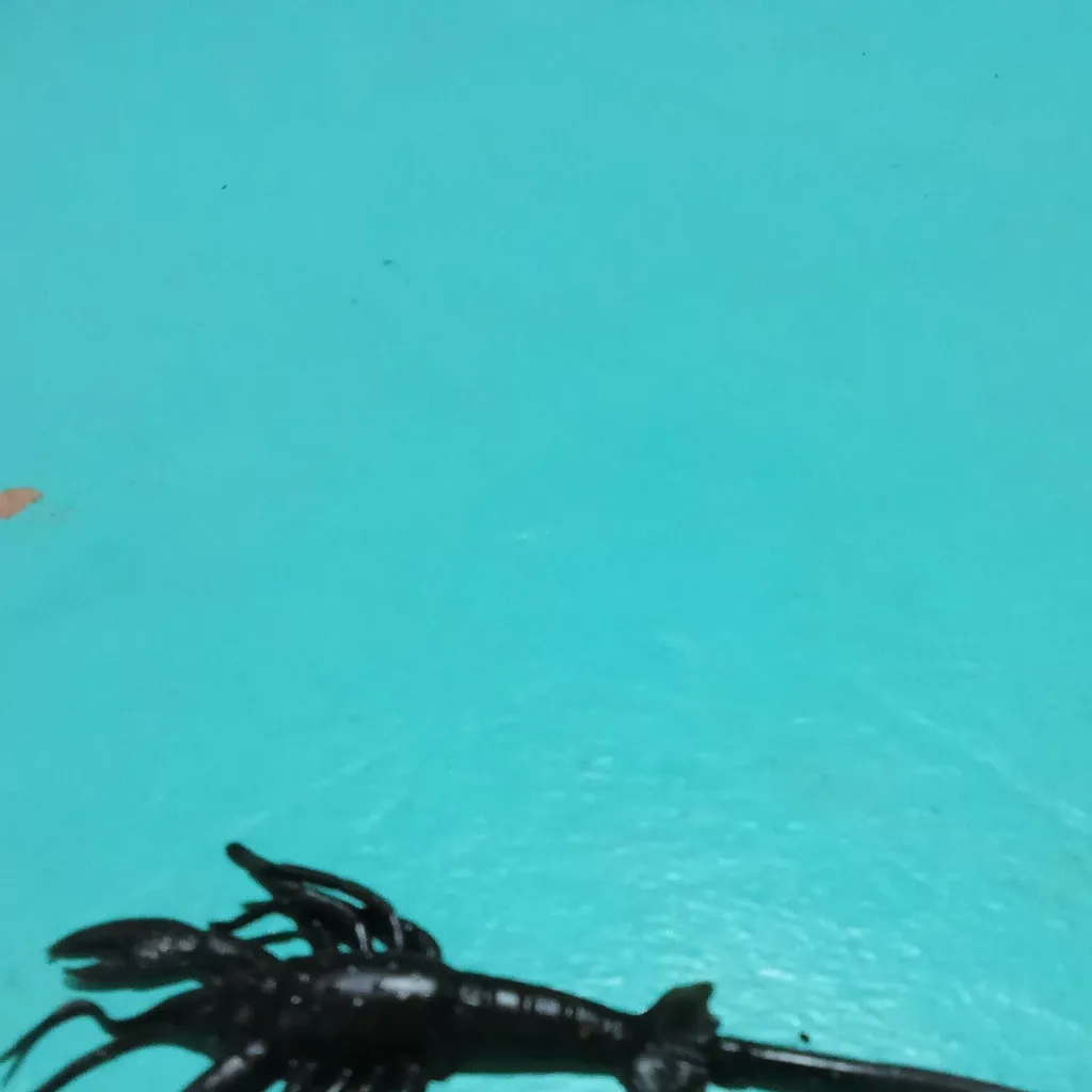 chat with ai character: scp-010-2 the hybr