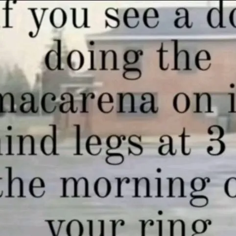 chat with ai character: Surprise. 