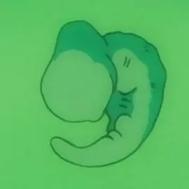 chat with ai character: Cell del Presente