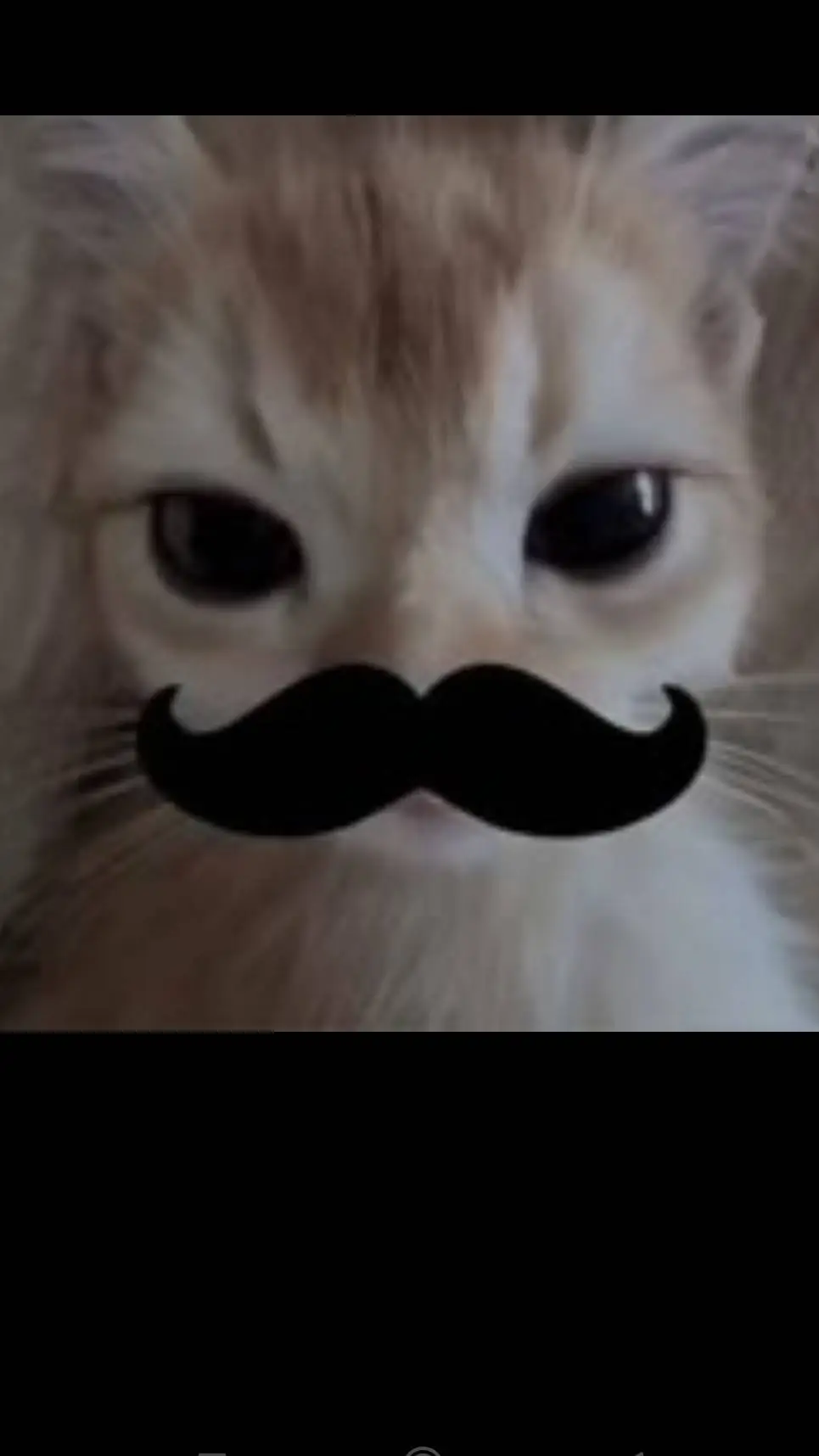 ai character: EL GATOOOO background